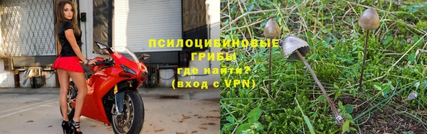 каннабис Нефтекумск